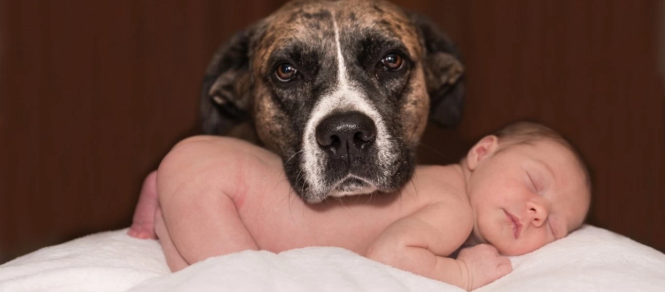 Η αγνή αγάπη ανάμεσα σε ένα μωρό και ένα σκύλο σε ένα βίντεο